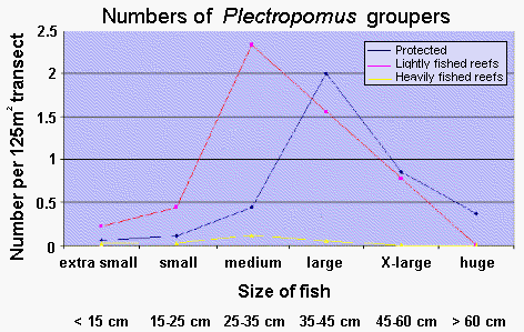 numbers of groupers at different fishing intensities