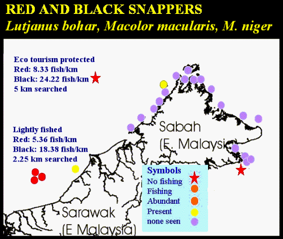 distribution of snapper populations in east malaysia